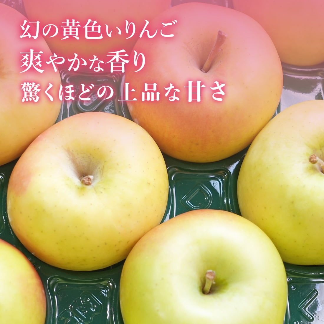 贈答用（クール便）青森県産 りんご シナノスイート×ぐんま名月 3kg