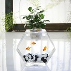 金魚鉢　水槽　テラリウム　花瓶　ガラス　透明　クリア　観葉植物　ガラス花器　おしゃれ　インテリア　卓上　玄関