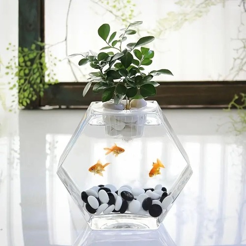 金魚鉢　水槽　テラリウム　花瓶　ガラス　透明　クリア　観葉植物　ガラス花器　おしゃれ　インテリア　卓上　玄関