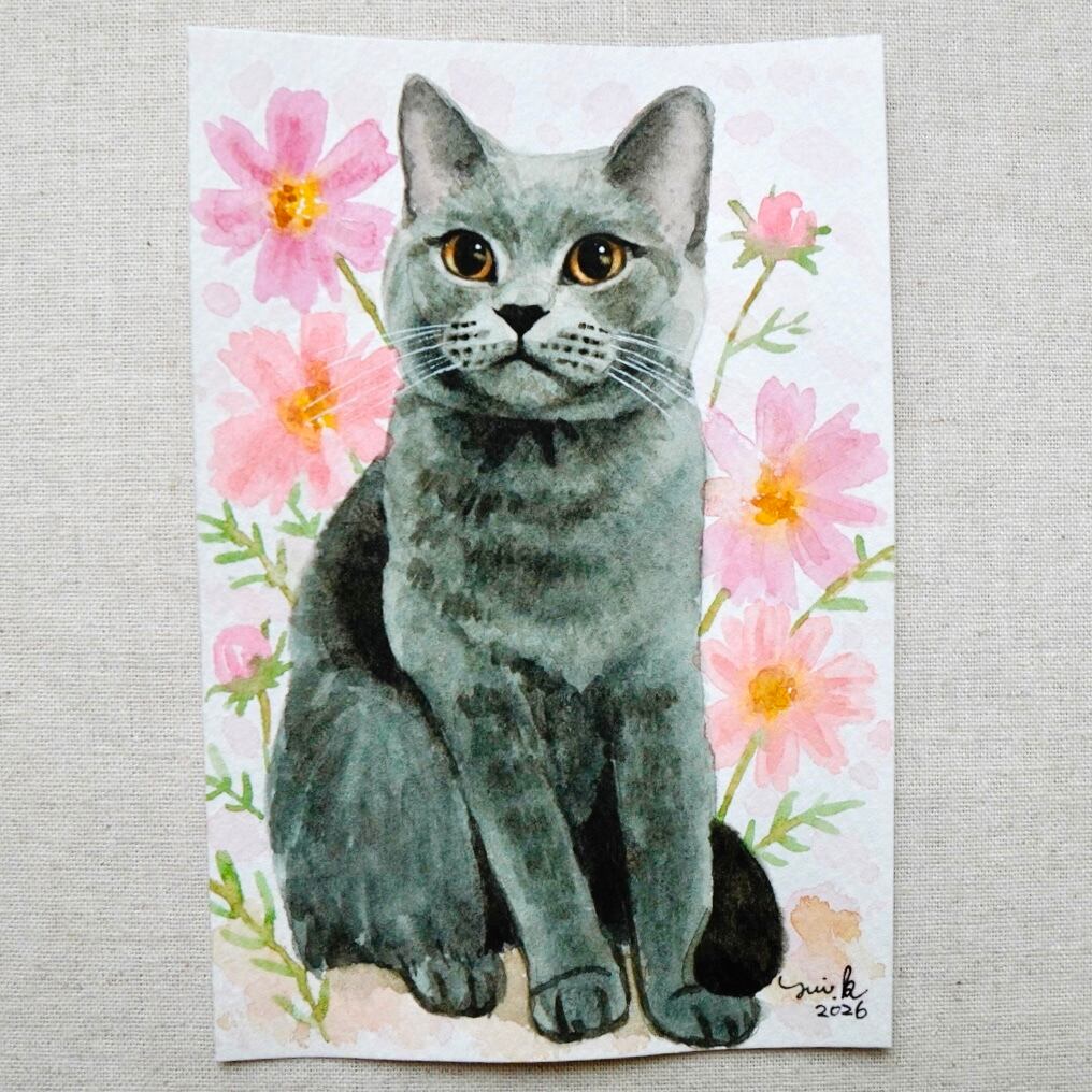 猫の絵 453 水彩画 原画 ブリティッシュショートヘア | Forest cat