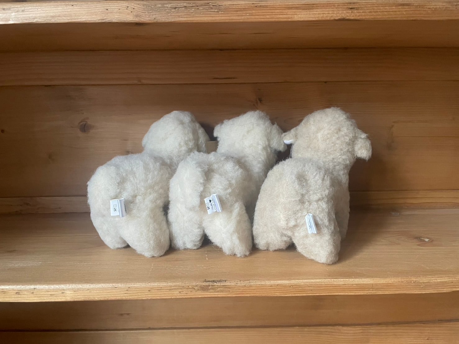 SHEEP BY THE SEA SHEEP MINI ウールボアのひつじ | PADDY'S