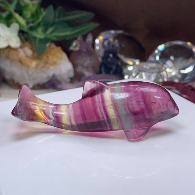 11.癒☆可愛いフローライトイルカさん