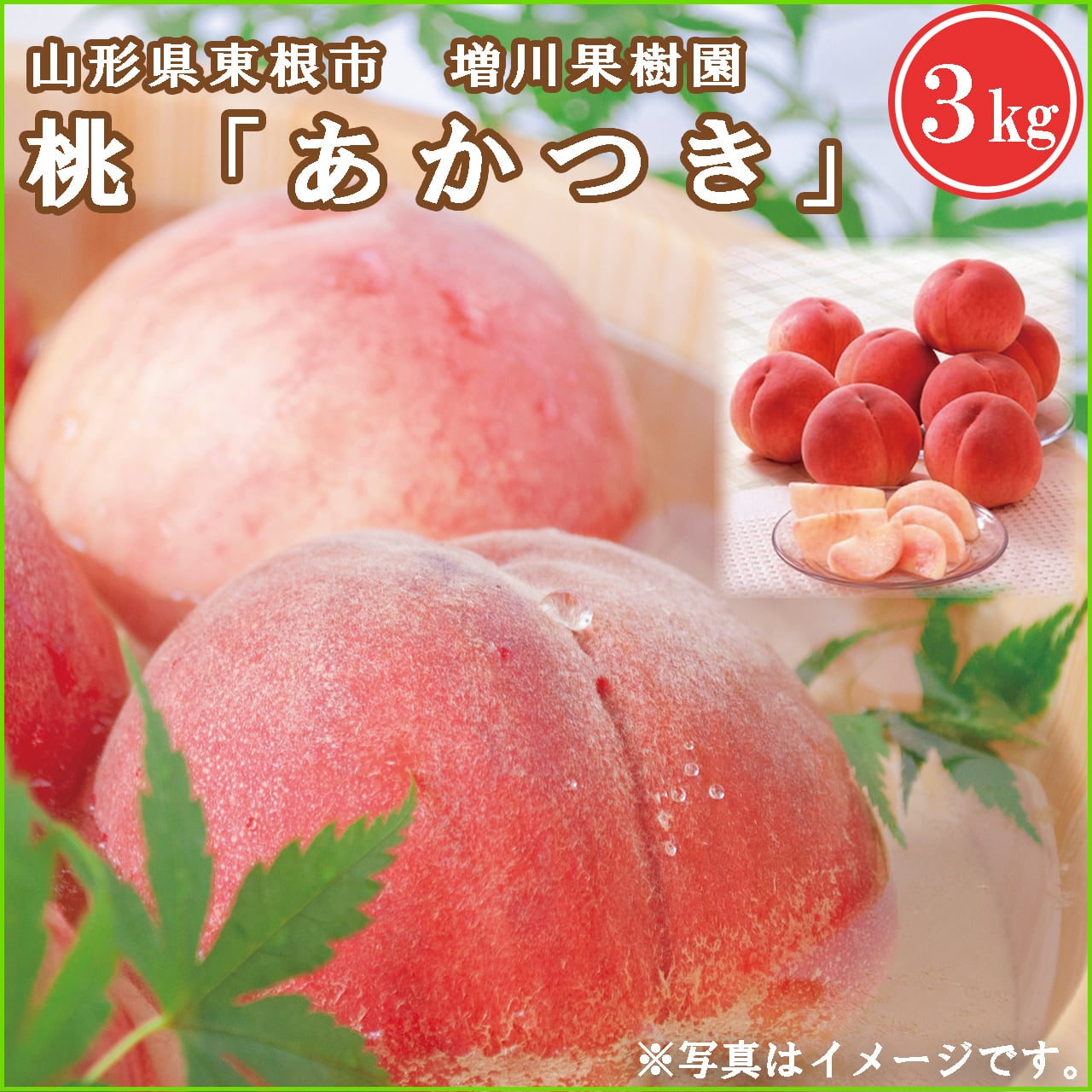 いちき串木野市特産品「サワーポメロ」のお菓子詰め合わせ | みなみの