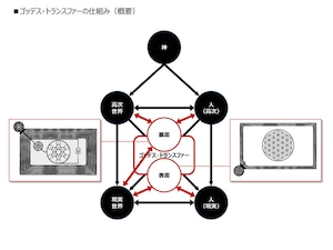 ゴッデス・トランスファー「ゴッデス フラワー」