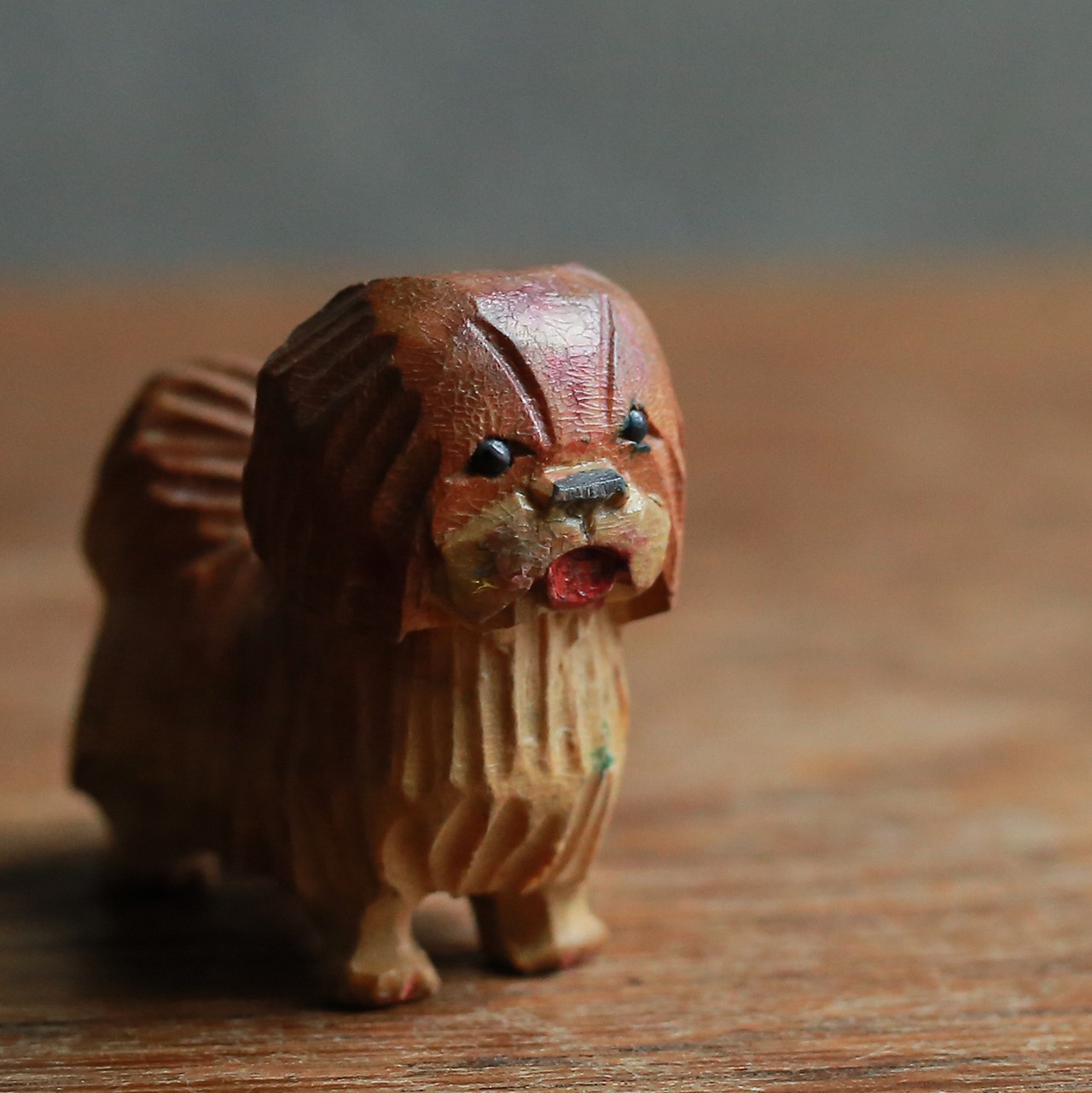 ペロッと下を出した、小さな犬