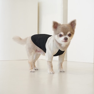 ote. sheer raglan tee　black/beige