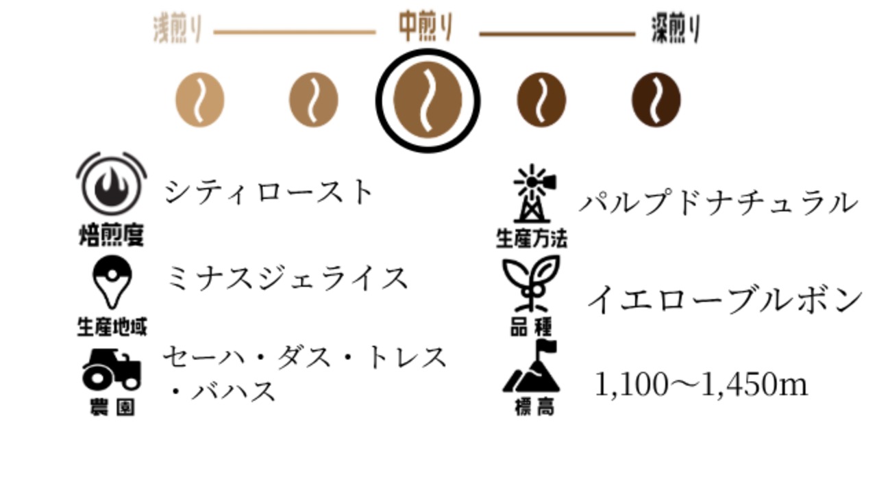 ブラジル 100g セーハ・ダス・トレス・バハス