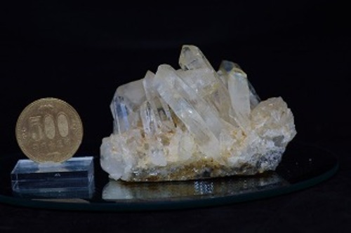 ヒマラヤタプリジュン産　約179g