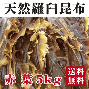 天然羅臼昆布赤葉5kg