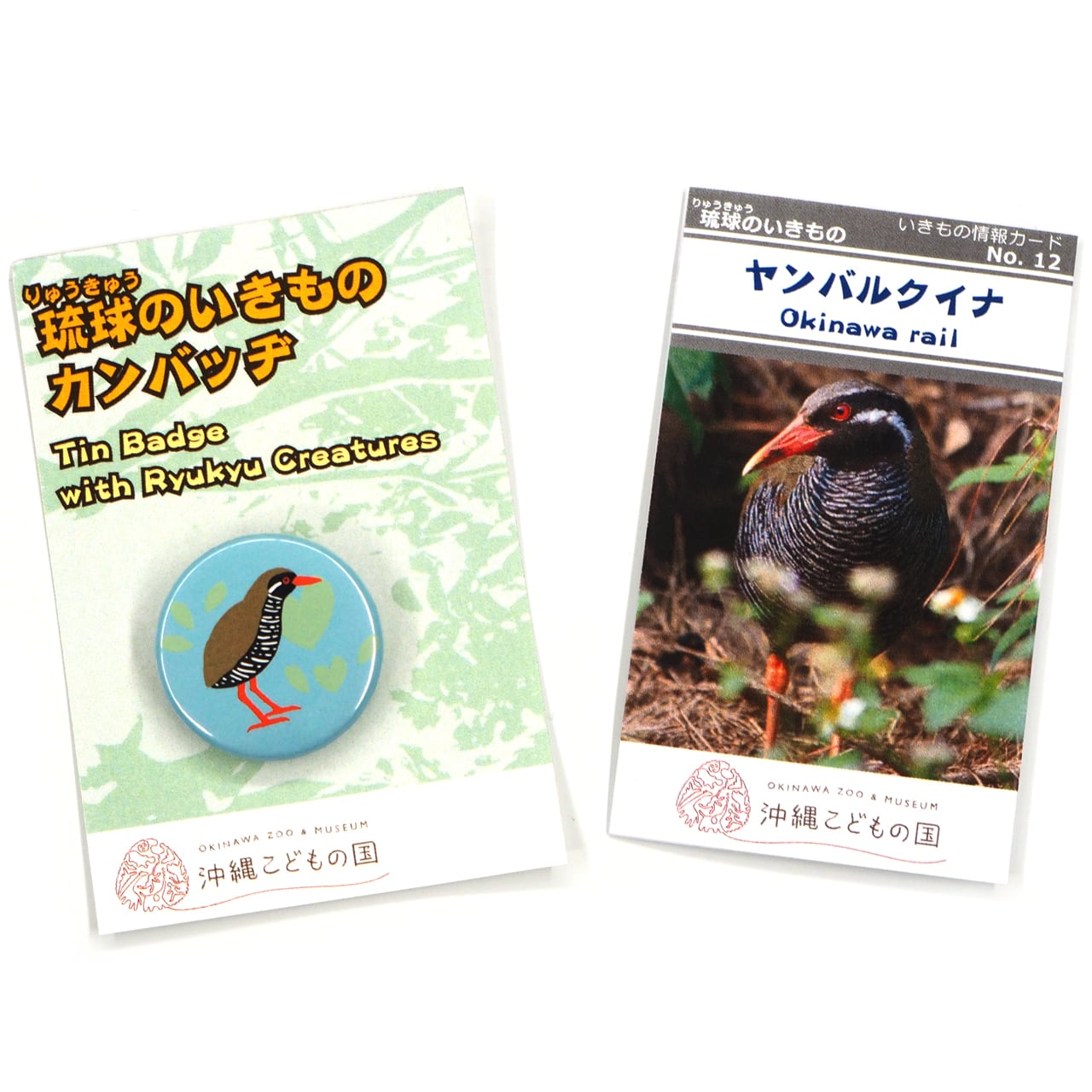 沖縄の野鳥 ヤンバルクイナシール ヤンバルクイナ」ステッカーの通販