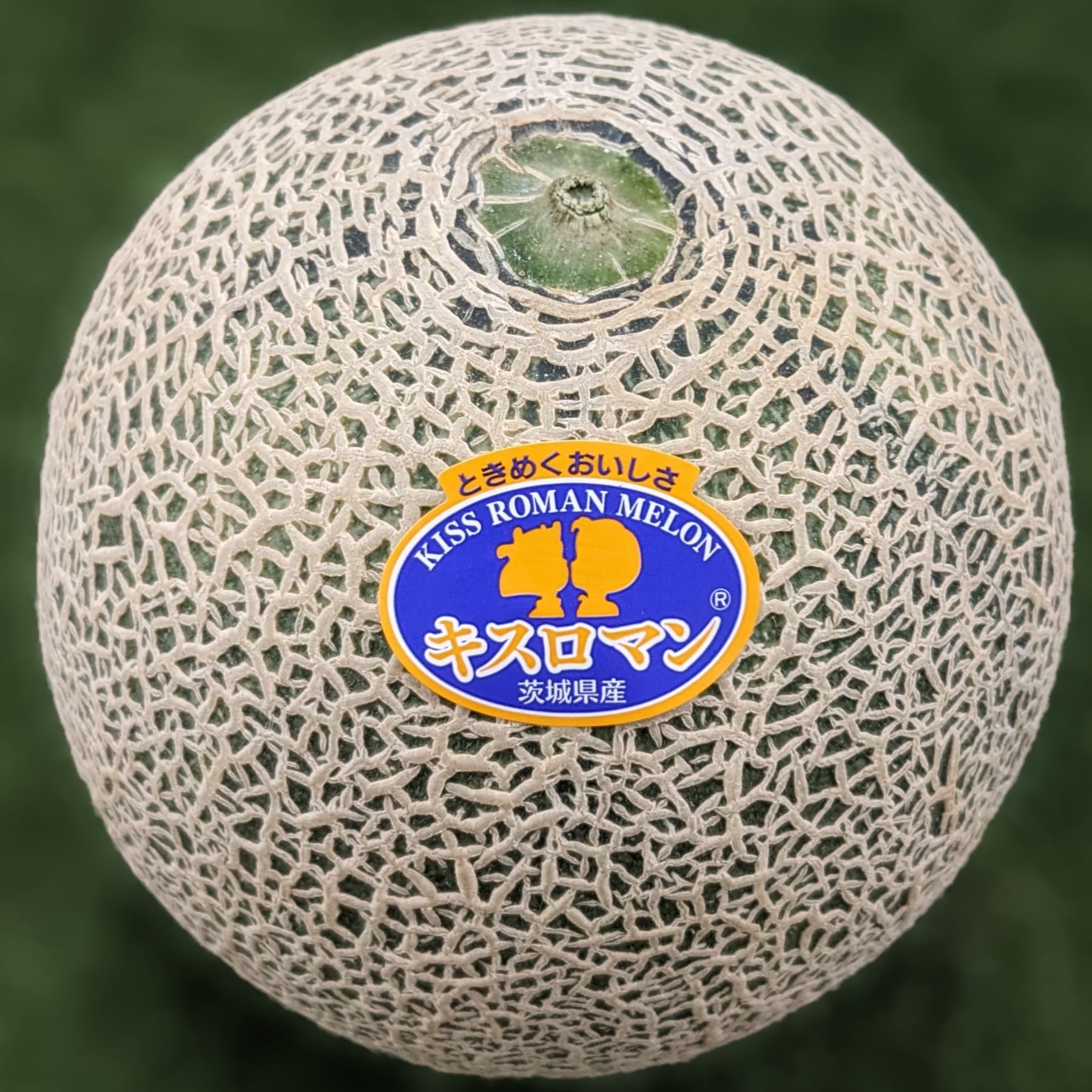 送料無料】キスロマンメロン 大玉2入 鉾田メロン 3kg～3.5㎏ | さんて