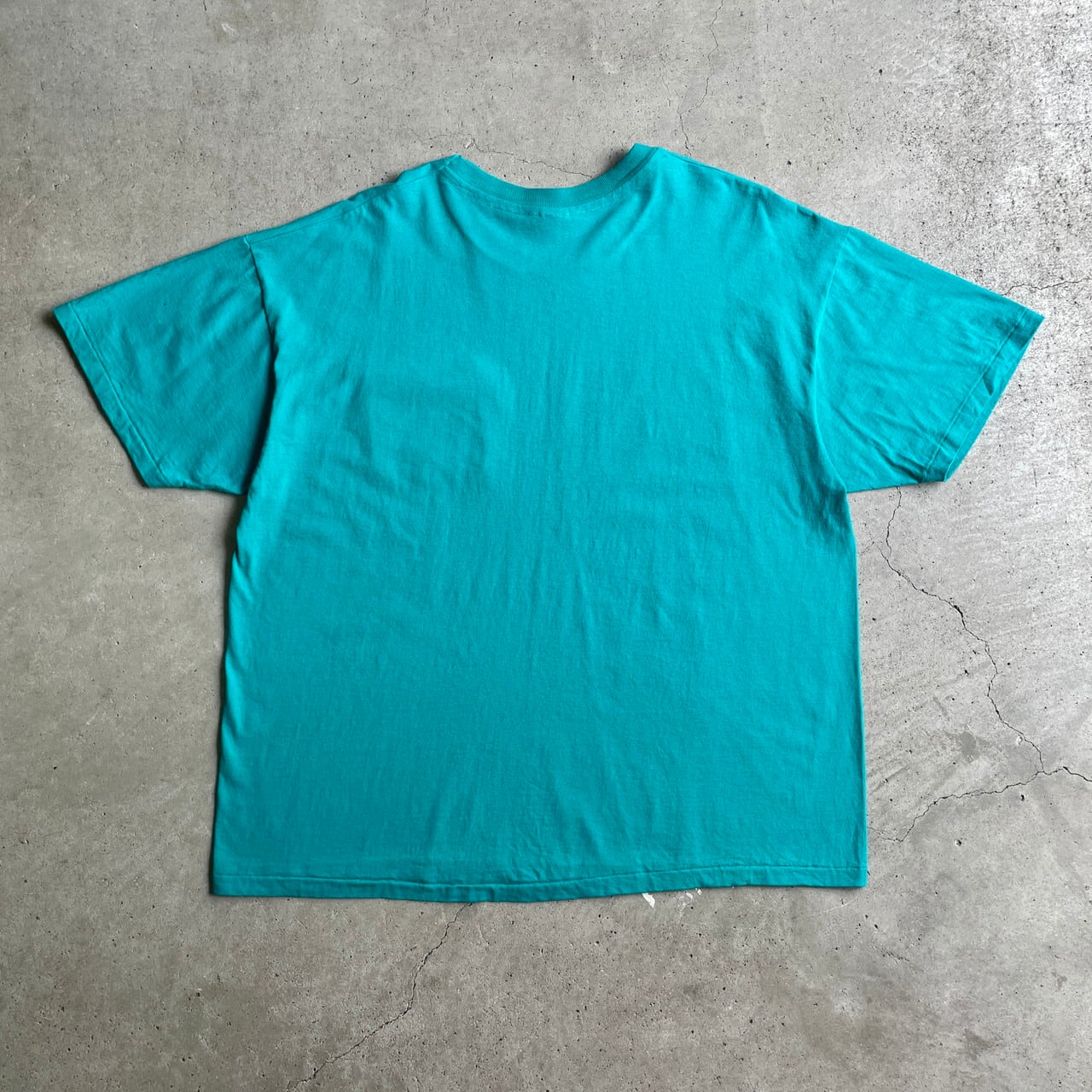 ビッグサイズ 90年代 Hanes ヘインズ シングルステッチ 無地 ポケットT