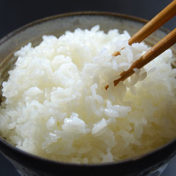 新潟米 令和6年産] 魚沼産コシヒカリ 5kg 無洗米 | 越後米蔵商店