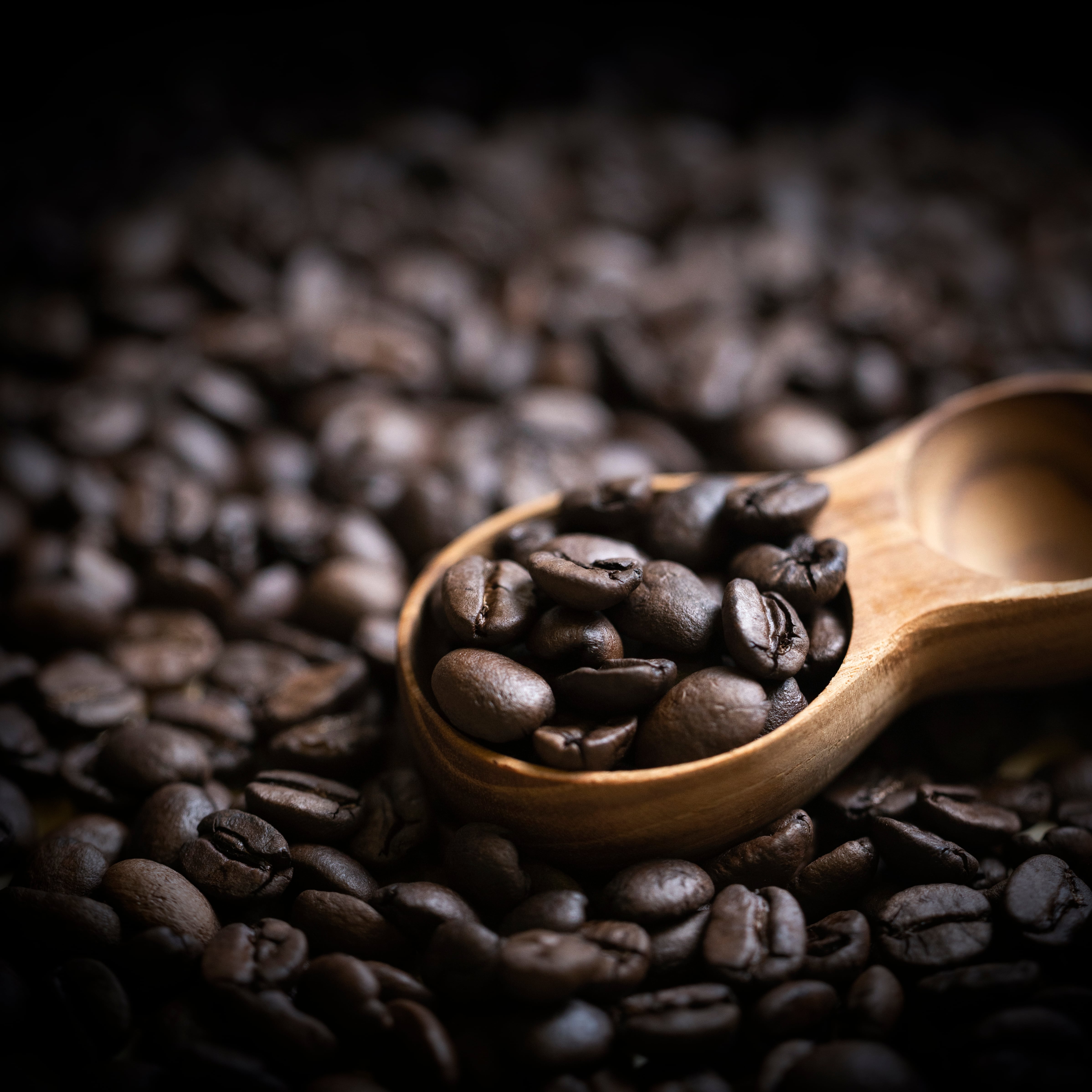 【定期便】コーヒー豆３種セット300g(100g×3個) 1年プラン ※送料無料