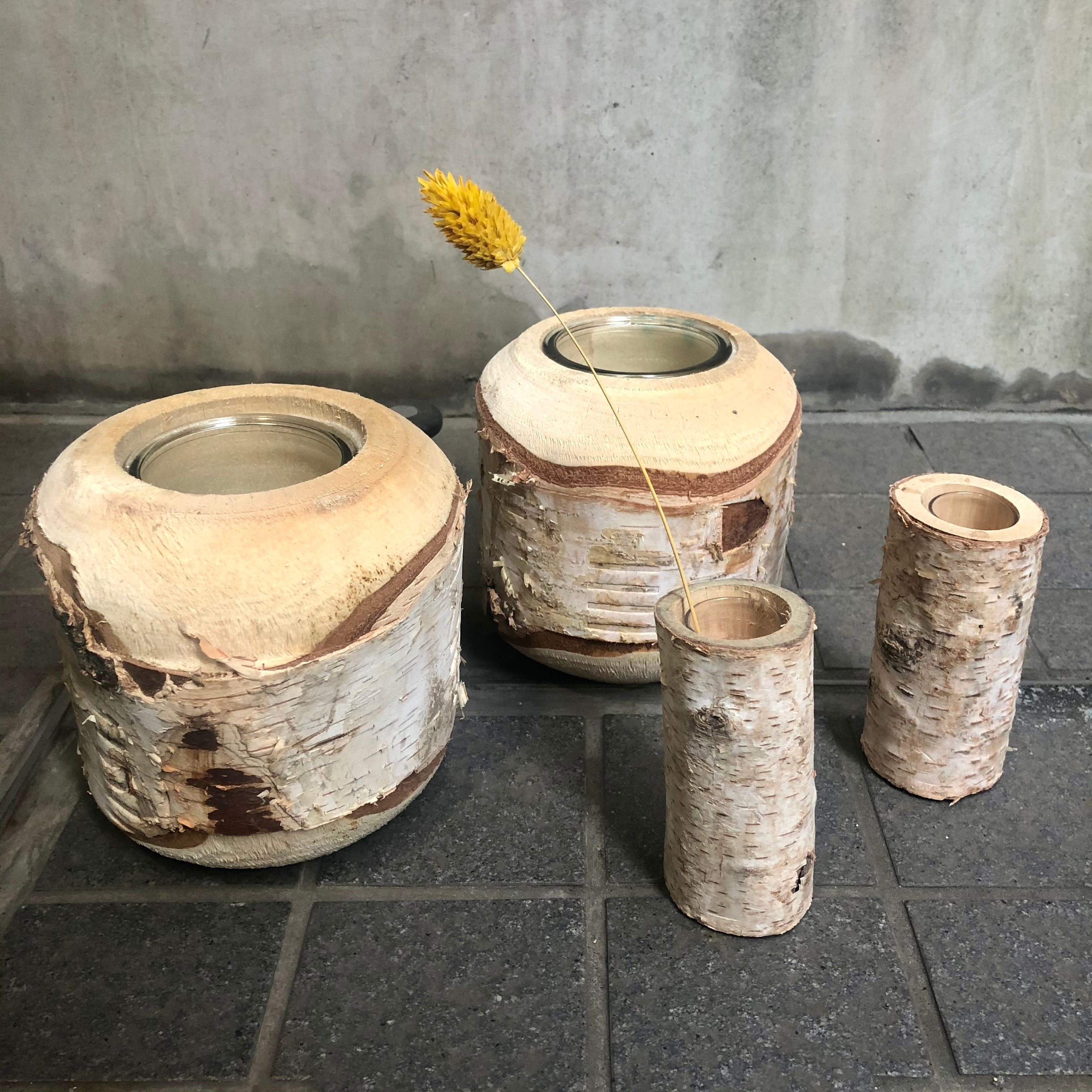 白樺の花瓶 大 フラワーベース 鉢にも | ハルカゼフラワー