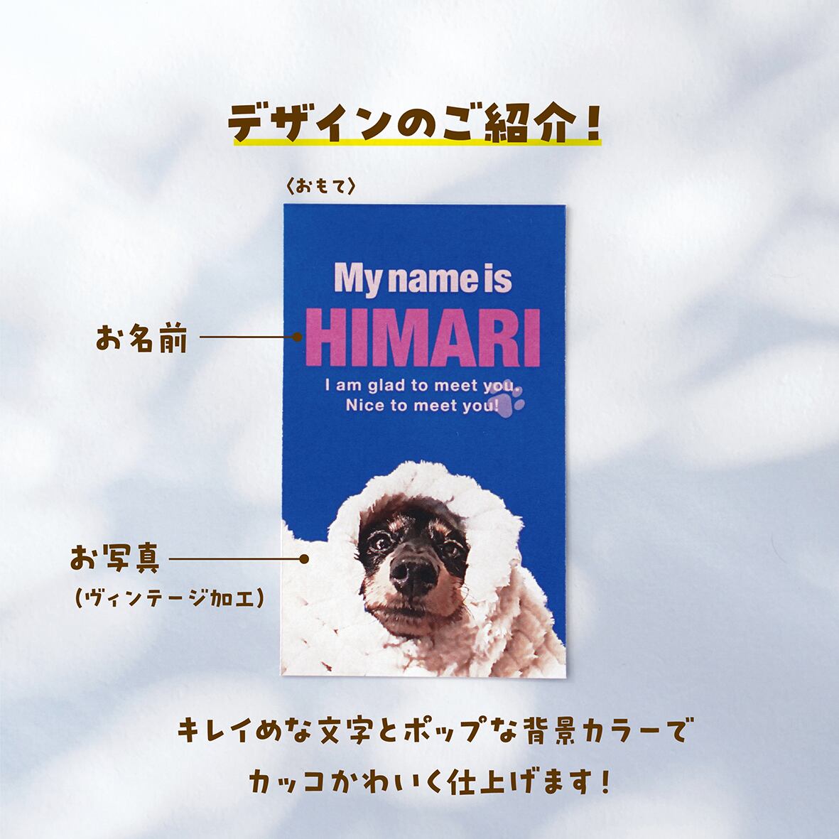 名刺 〈ポップstyle〉 ☆100枚入 | ひまわんギャラリー | 〈オーダー