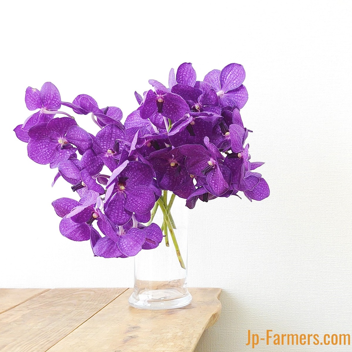 蘭・バンダは花持ち抜群！ 台湾産 バンダ ブルー系 5本のご紹介です 