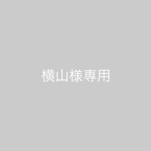専用ページ