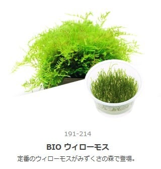 送料無料】CO2フォレストボトル 7本 | aquarium shop earth