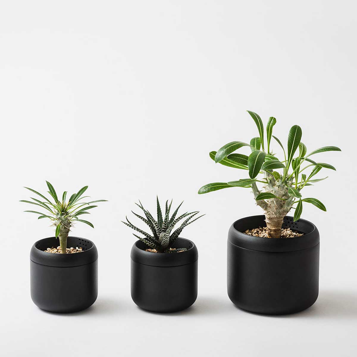 藤田金属 FUJITA KINZOKU PLANT POT HACHI ハチ プランターポット 2号