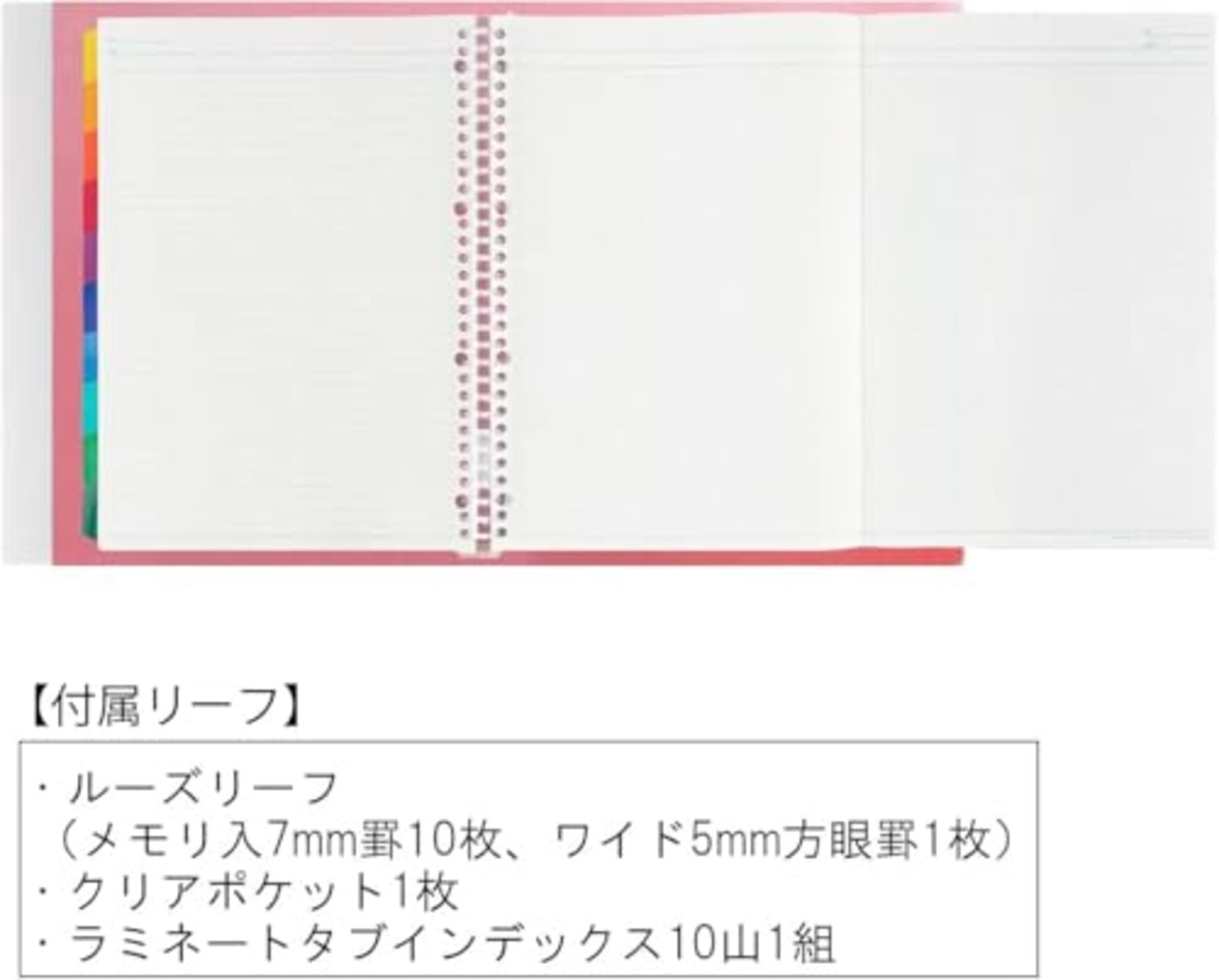 マルマン ルーズリーフ バインダー セッション A4 30穴 クリア F584-98