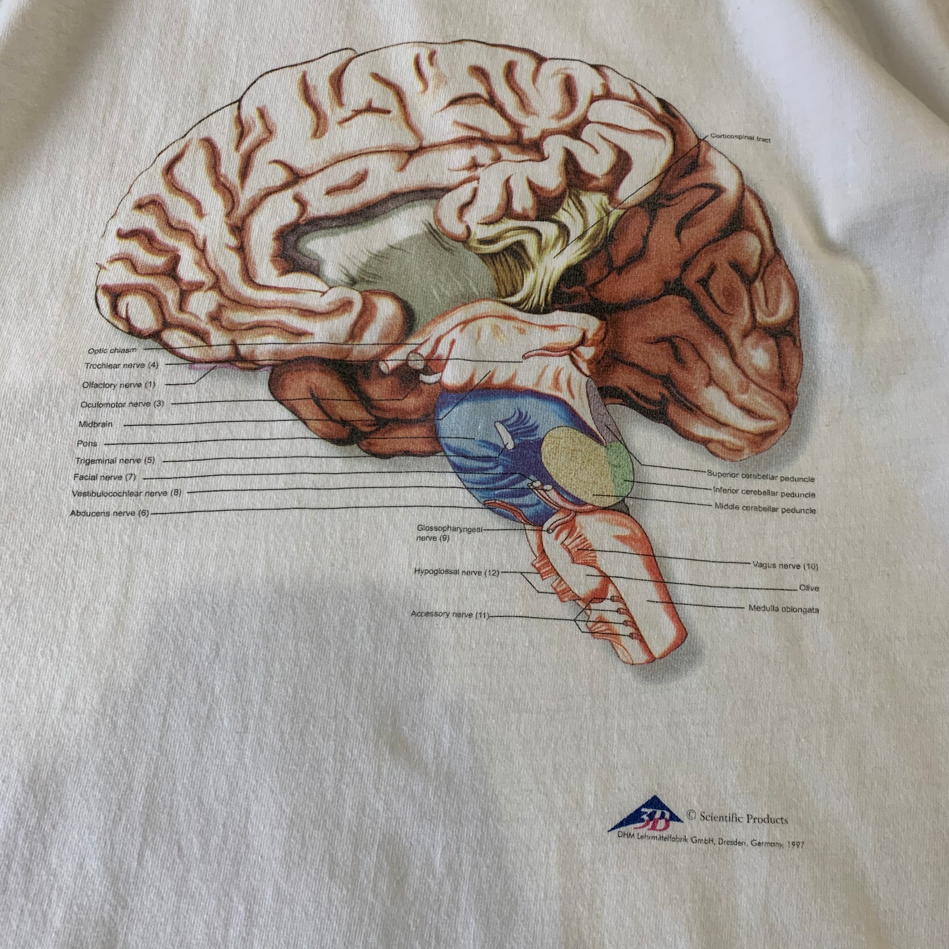90s brain T-shirt | What