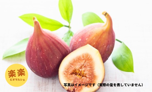 いちじく
