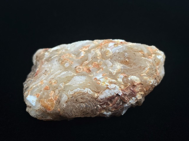 オープンジオード