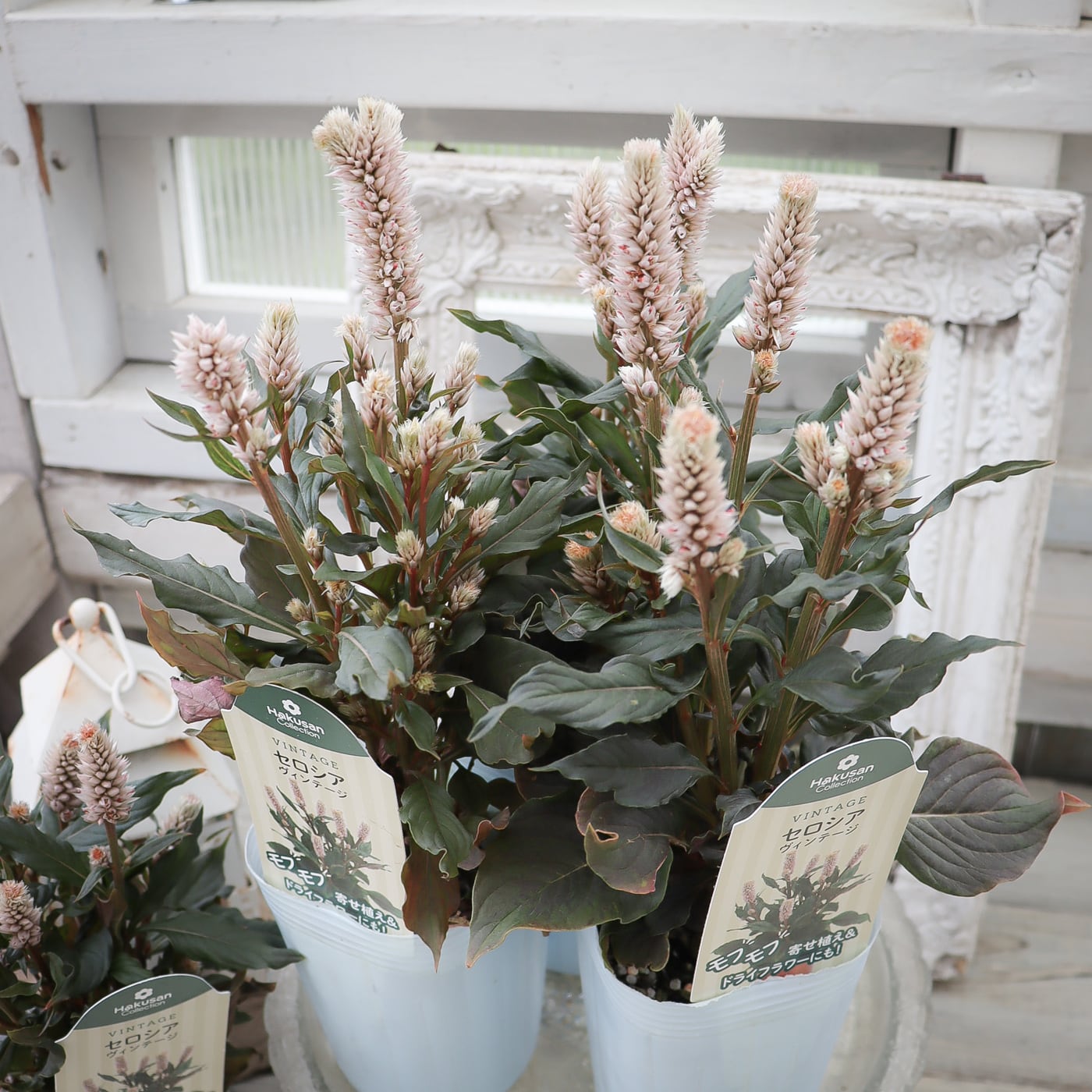 鉢植え 植木鉢 プランター プラントポット フラワーポット 