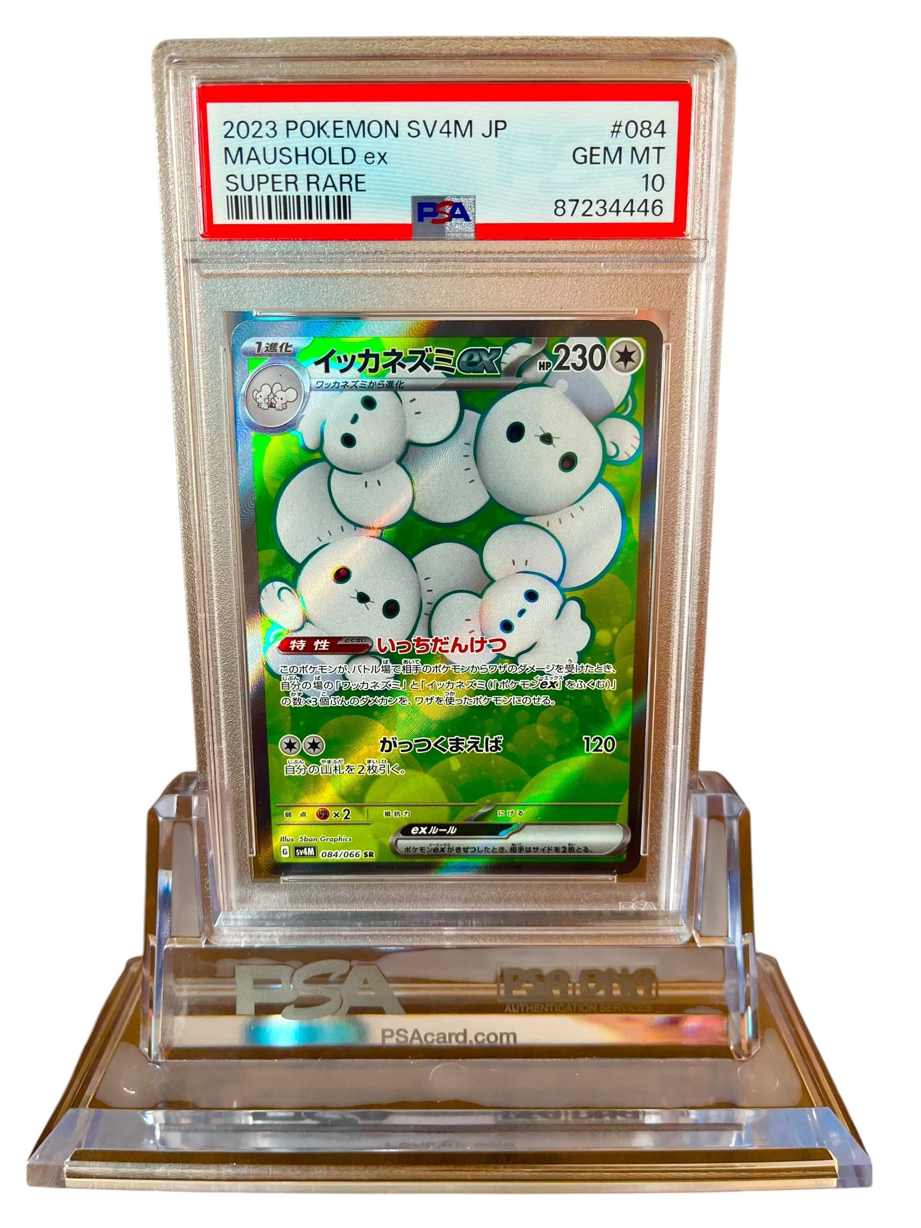 PSA10】イッカネズミex SR (SV4M 084/066) ポケモンカード 鑑定品