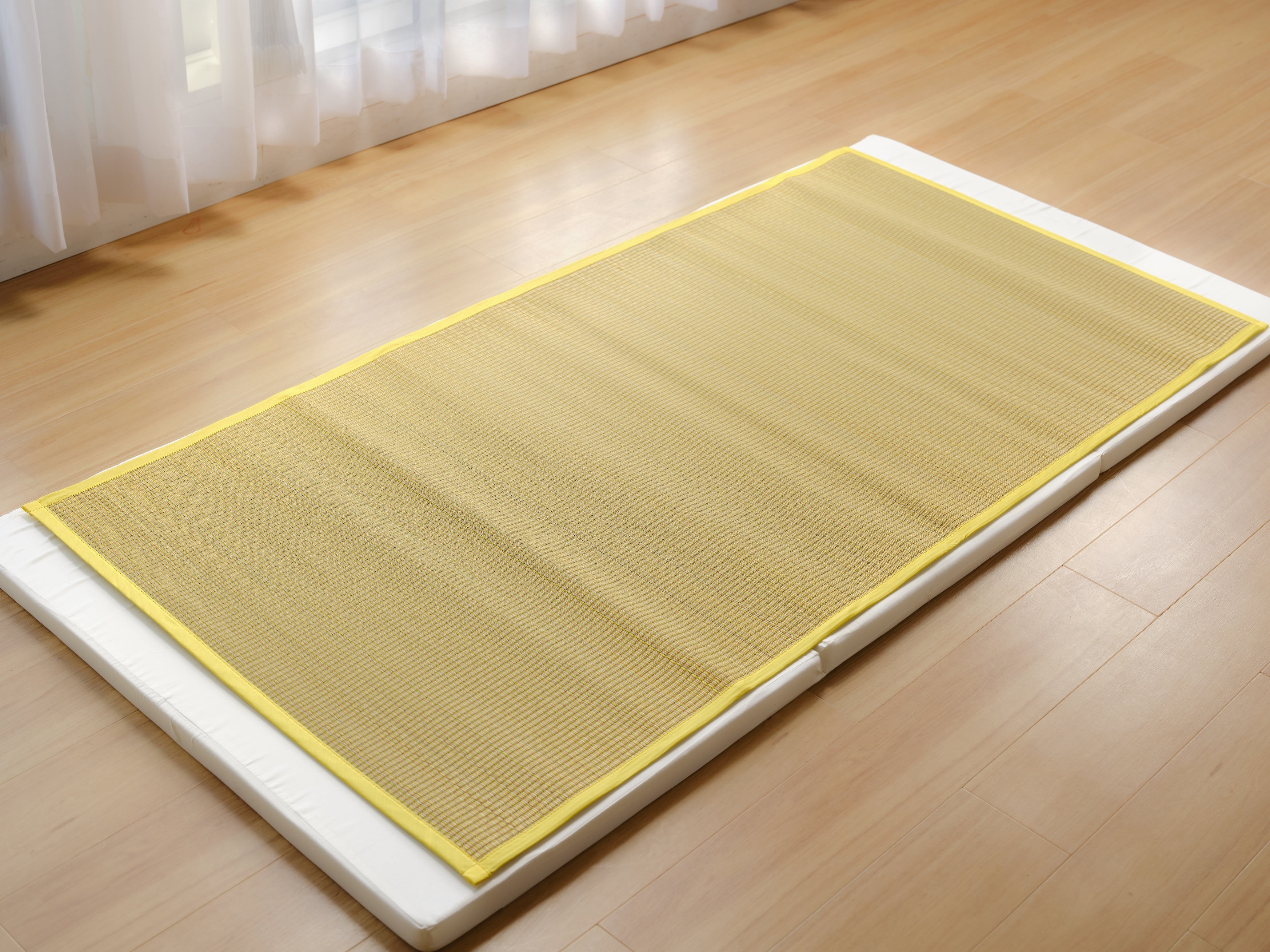 こさよ 3_000000000879.jpg?1690259917