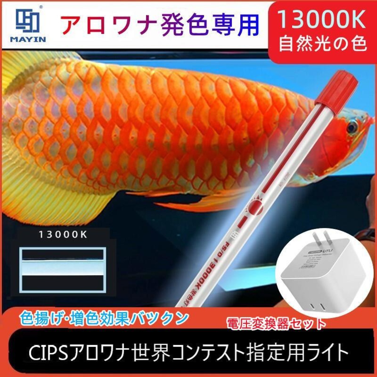MAYINマイン馬印36cm マジックライトPlus アロワナライト テンニング 