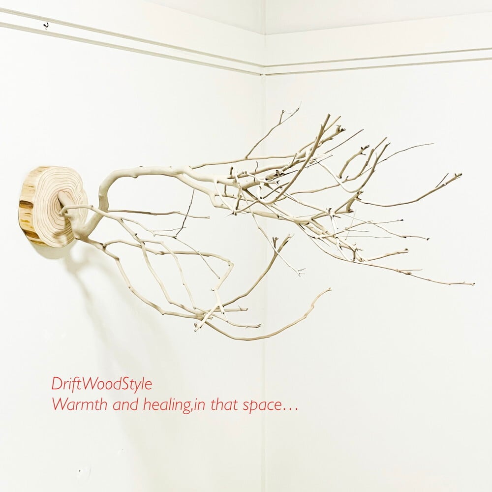 流木インテリア専門 DriftWoodStyle