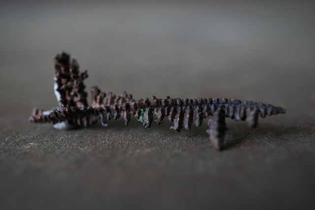 ミシガン州産自然銅  Native Copper 1501