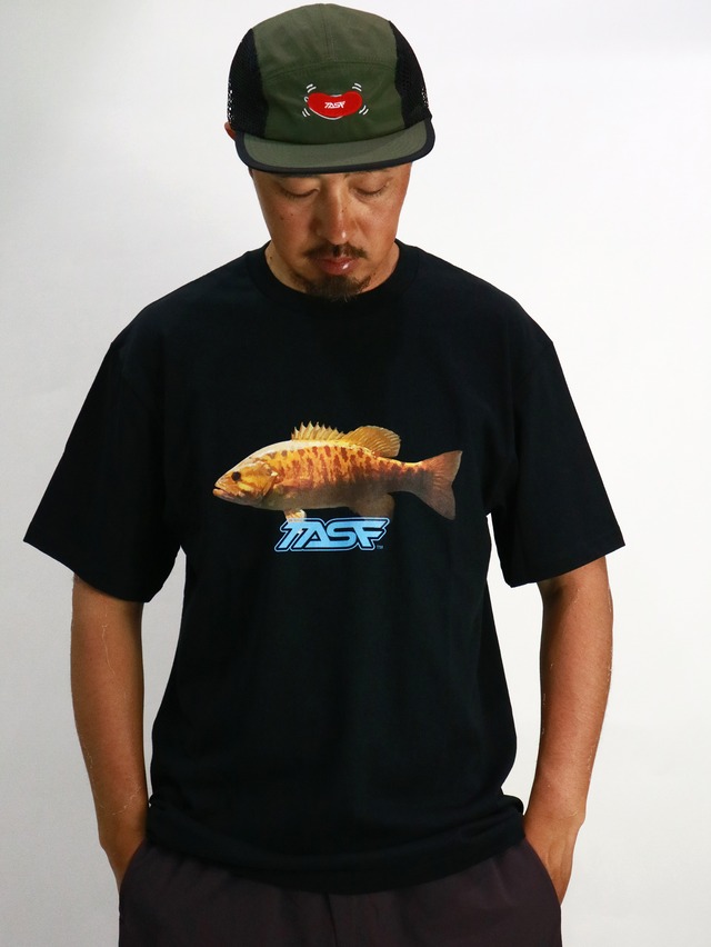 TASF / スモールマウスTee / Black