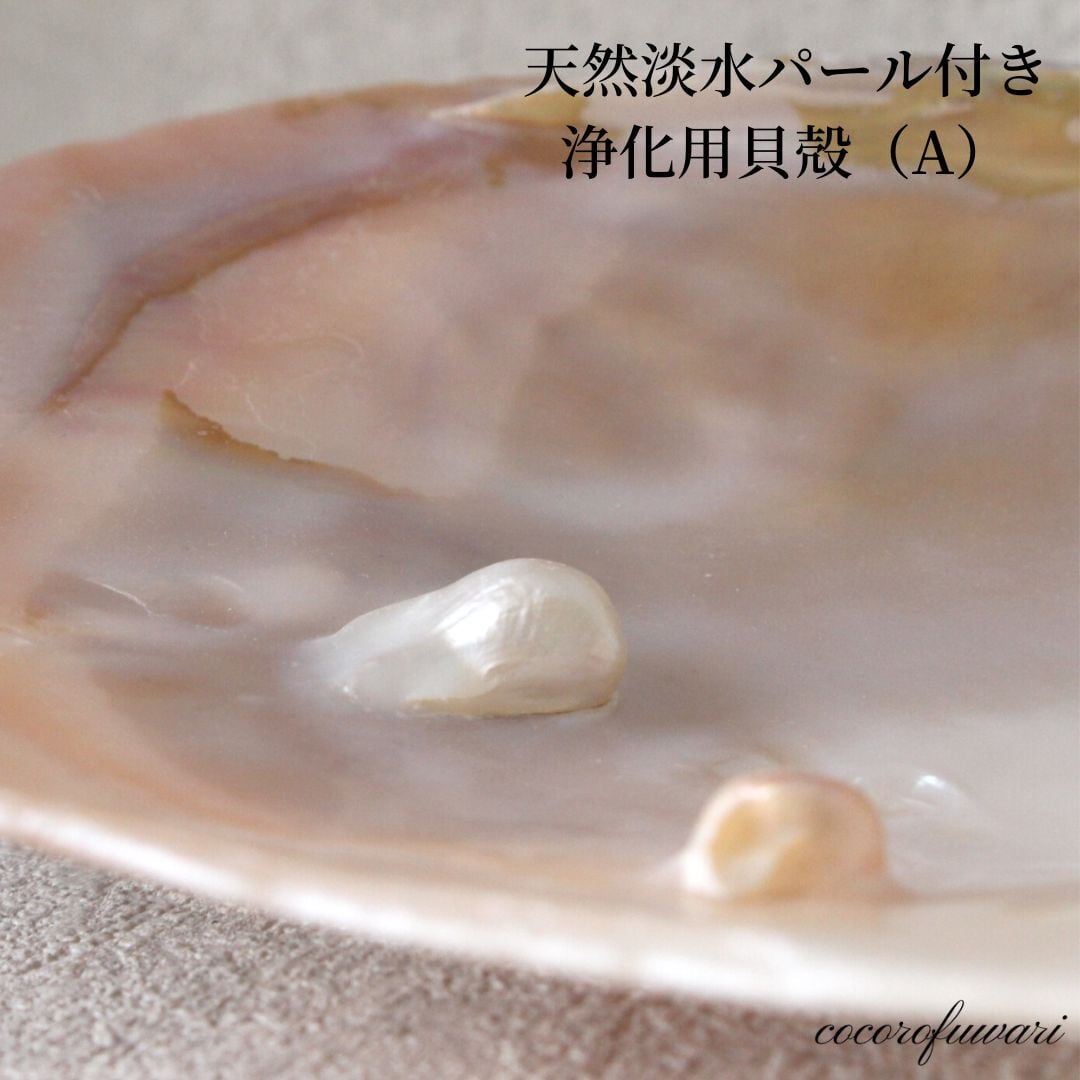 ★特選NEW★浄化✴︎エネルギーUP☆得々２枚【イケチョウ貝パールシェルトレイ】❤️ ☆特選NEW☆浄化✴︎エネルギーUP☆得々2枚【イケチョウ貝パール