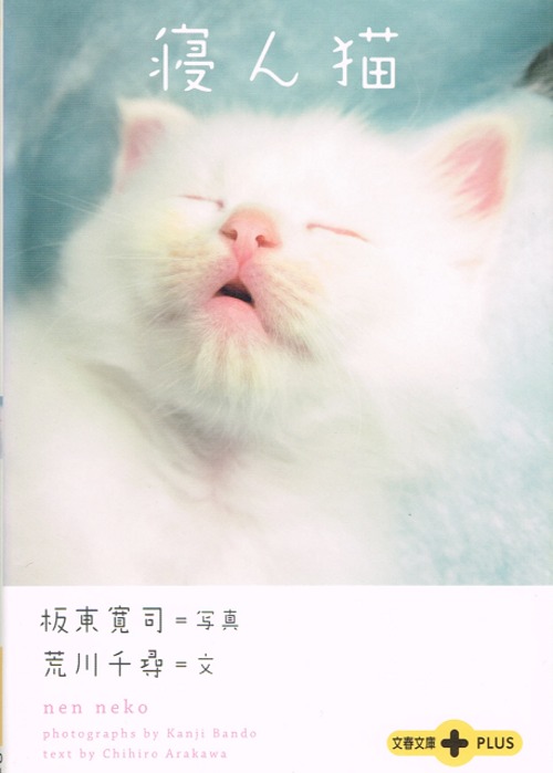 寝ん猫（文庫本）