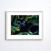 Nocturnal Panther|漆黒に潜む黒豹のフォトアートポスター|野性と静寂が共存するラグジュアリーな一枚|A4ポスター