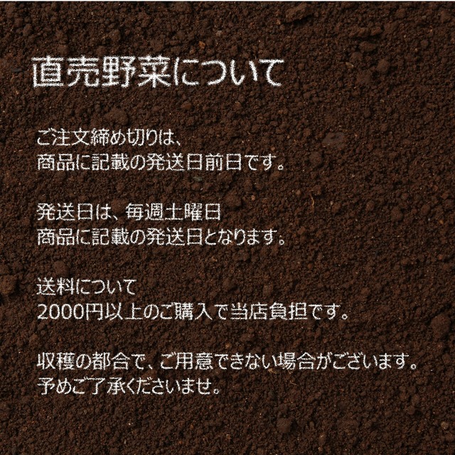 10月の朝採り直売野菜 ： カリフラワー　約 1個  新鮮な秋野菜　10月31日発送予定