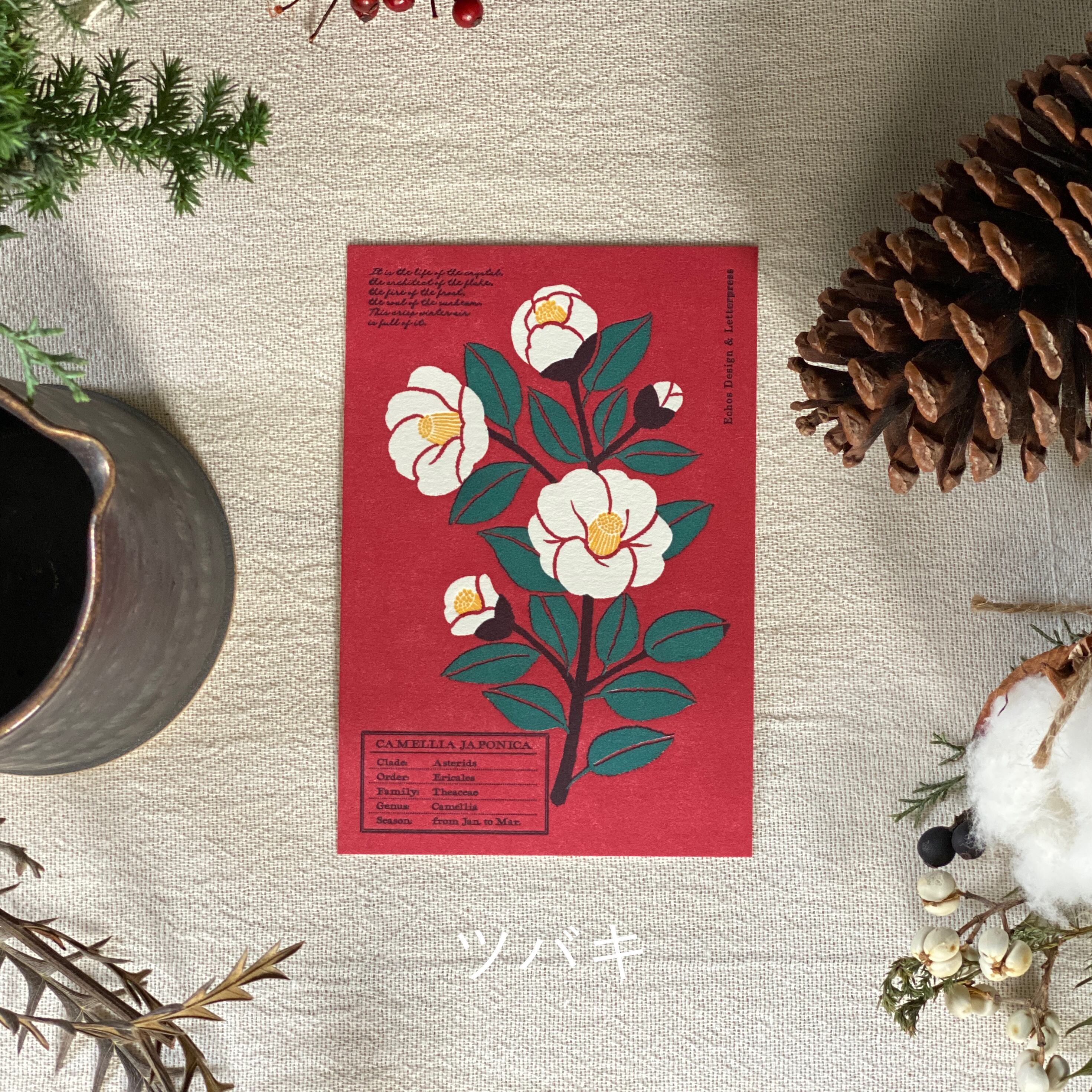 Echos活版印刷のポストカード White Flower WINTER | march lifestyle