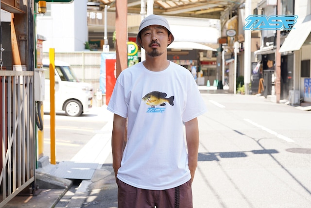 TASF  /  ギルTee  /  White