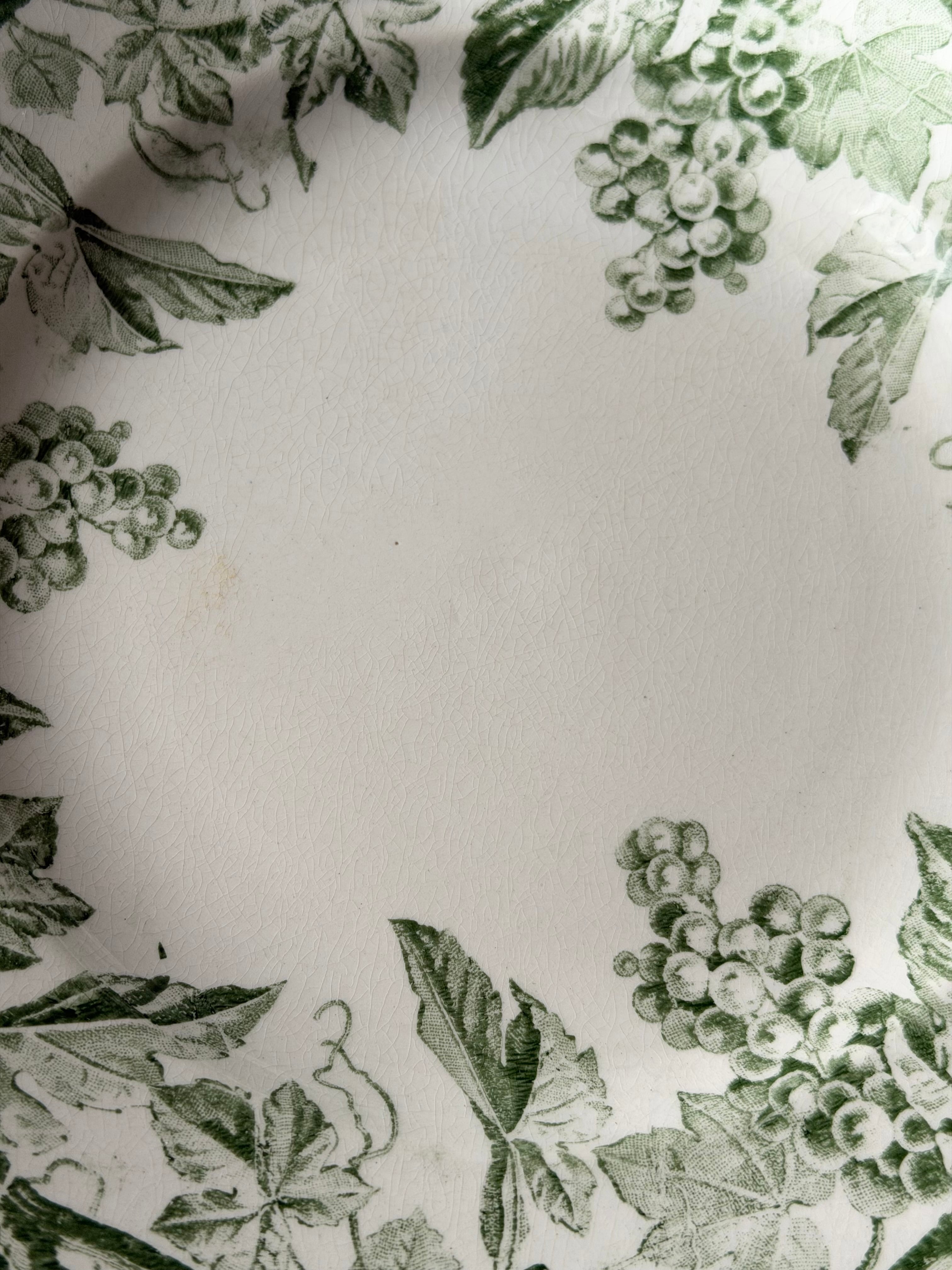 クレイユモントロー　KANTARA フランスアンティーク Creil et Montereau クレイユモントロー / “KANTARA” 平皿プレート