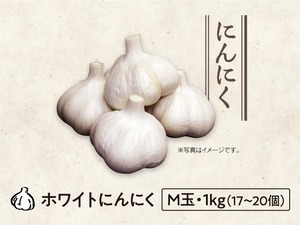 【27】にんにく ミディアム・1kg（17〜20個）