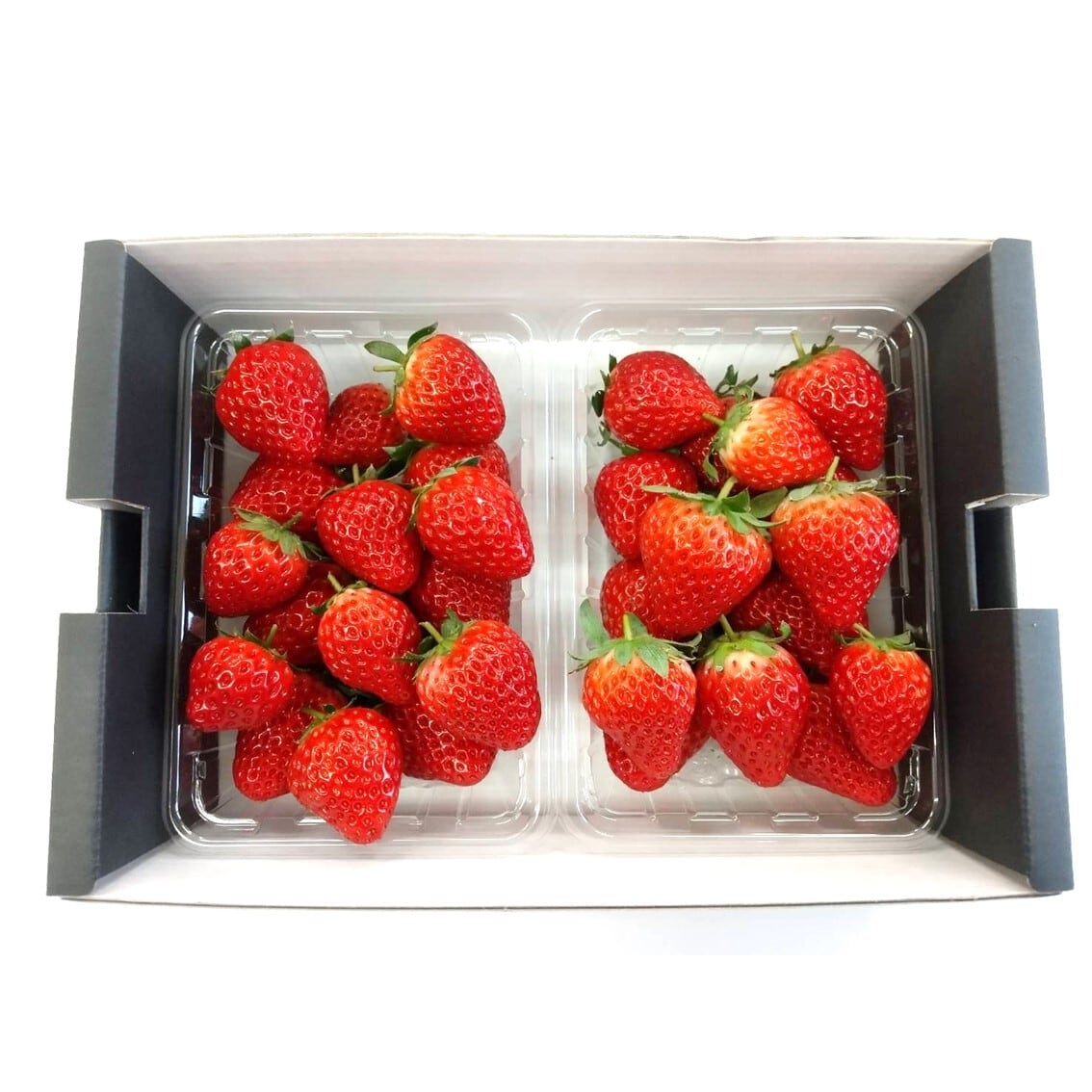 希望のいちご 2パックセット | むもんオンラインショップ