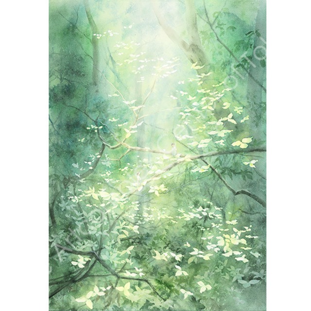 窓「森のなかの光の階段」
