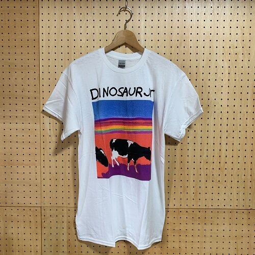 Dinosaur jr. ダイナソージュニア　Tシャツ　ヴィンテージ　90s