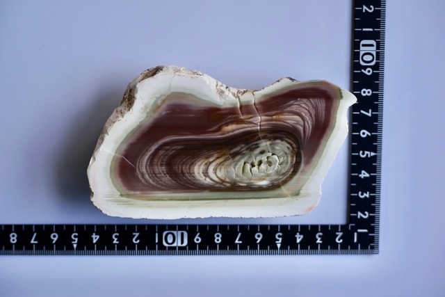 ロイヤルインペリアルジャスパー　Royal Imperial Jasper 16