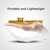 音楽愛好者向けカズー楽器 アルミ製カズー Kazoo 鼻歌 独奏できる笛楽器 バンド・パーティー伴奏 ホイッスル (ゴールド)