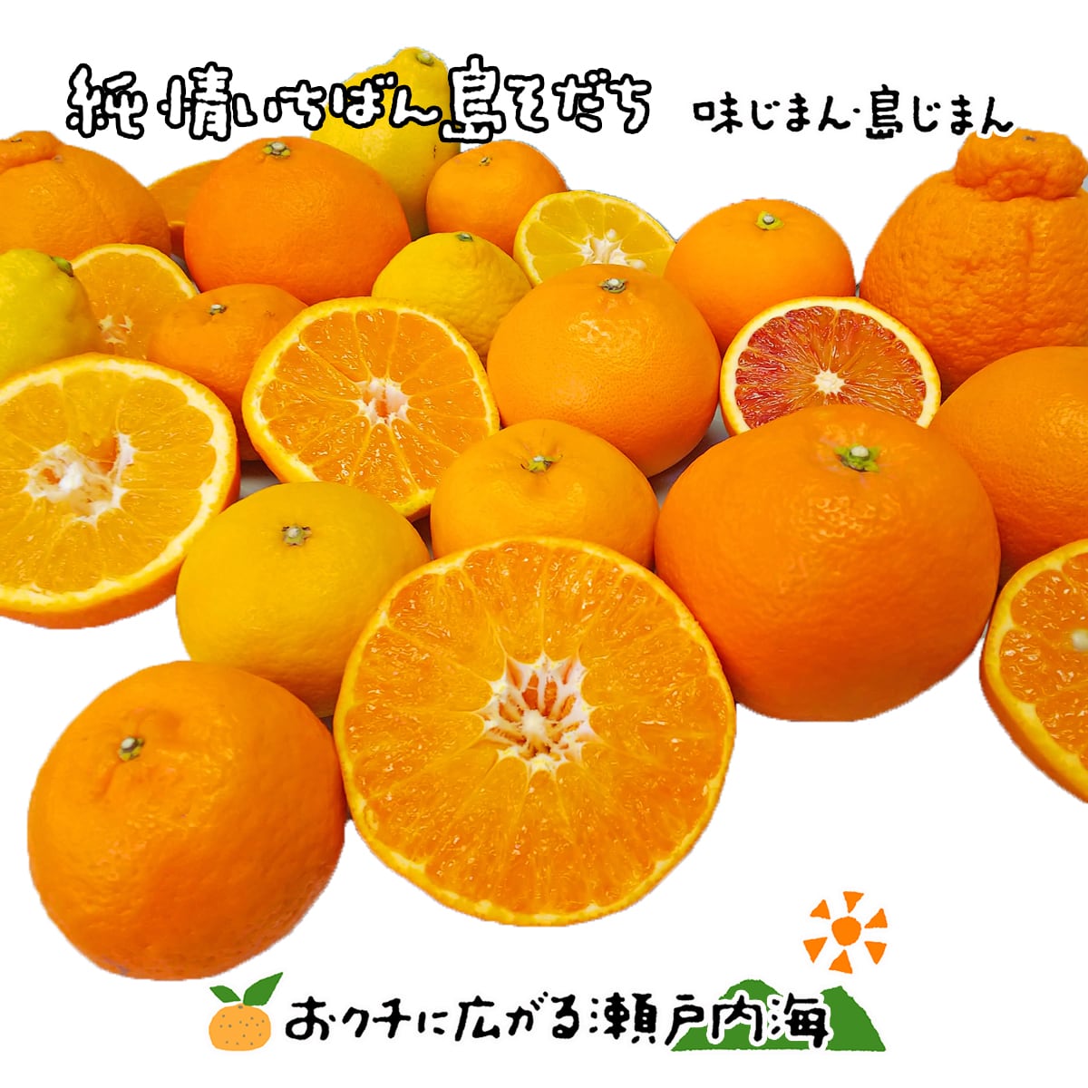 みかんの楽園 希望の島