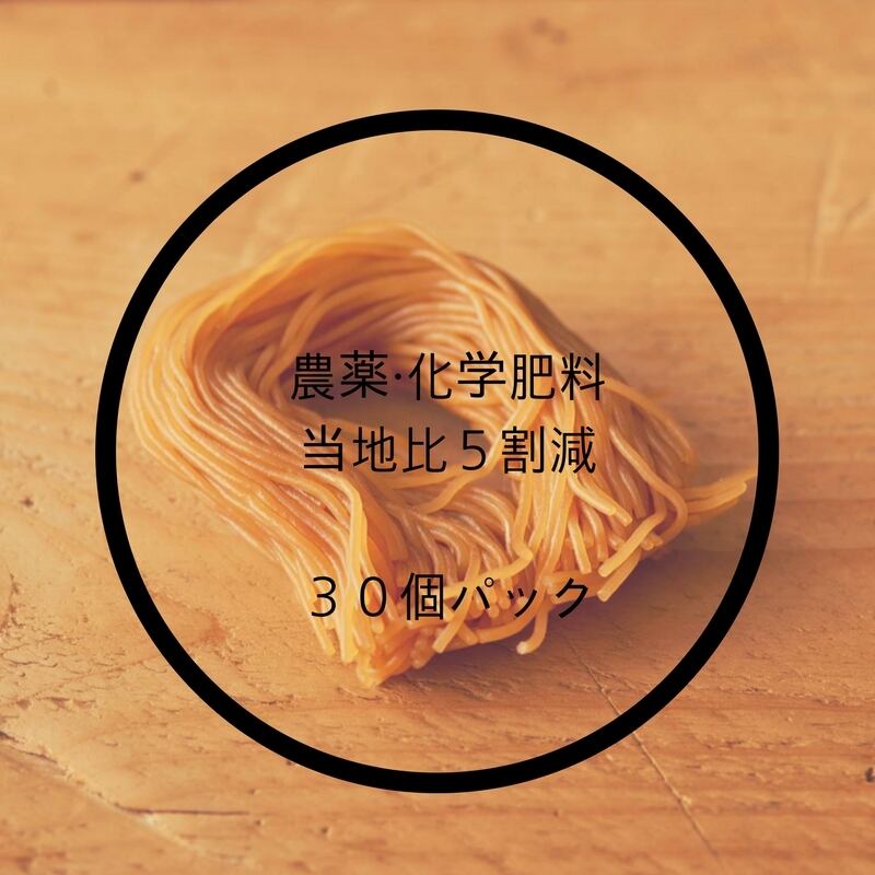 玄米麺30袋＜特別栽培米・農薬化学肥料5割減＞　miyauchiya